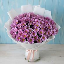 Букет цветов из:  Хризантемы в Тайтурке