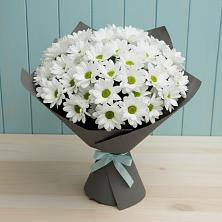 Букет цветов из:  Хризантемы в Тайтурке