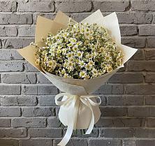 Букет цветов из:  Ромашки #REPLACE_PRED# Тайтурке