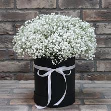 Цветочная композиция из Гипсофила в шляпной коробке #REPLACE_PRED# Тайтурке