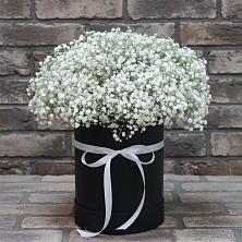 Цветочная композиция из Гипсофила в шляпной коробке в Тайтурке