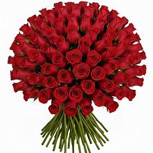 Букет Красные розы Чери Лав #REPLACE_PRED# Тайтурке