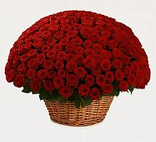 Премиум букет из: Розы в Тайтурке