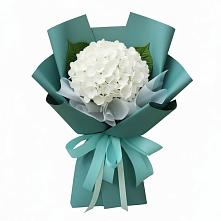 Букет цветов из:  Гортензия #REPLACE_PRED# Тайтурке